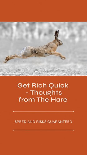 The Hare: Get Rich Quick