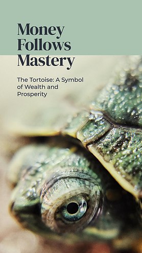 The Tortoise: Money Follows Mastery