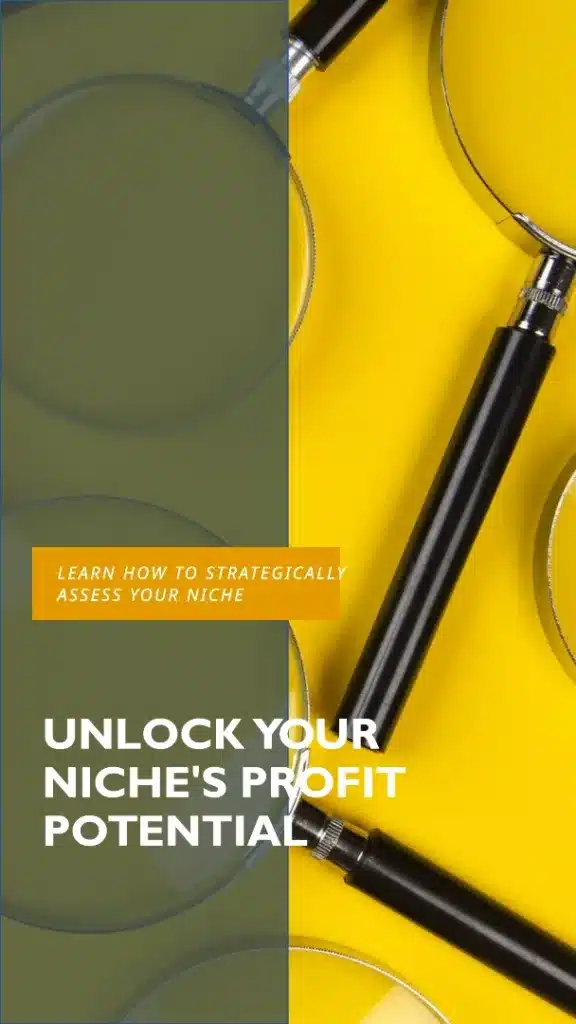 Strategically Assessing Your Niche's Profitable Potential