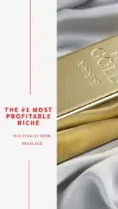 The Most Profitable Niche