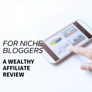 A Wealthy Affiliate Review For Niche Bloggers